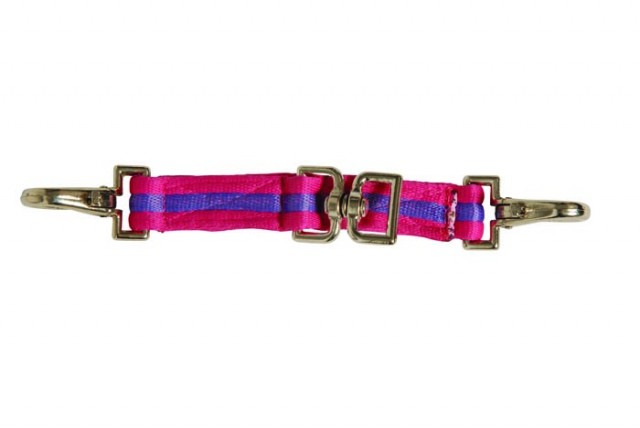 Kincade Two Tone Lunging Attachment (Pink/Purple)